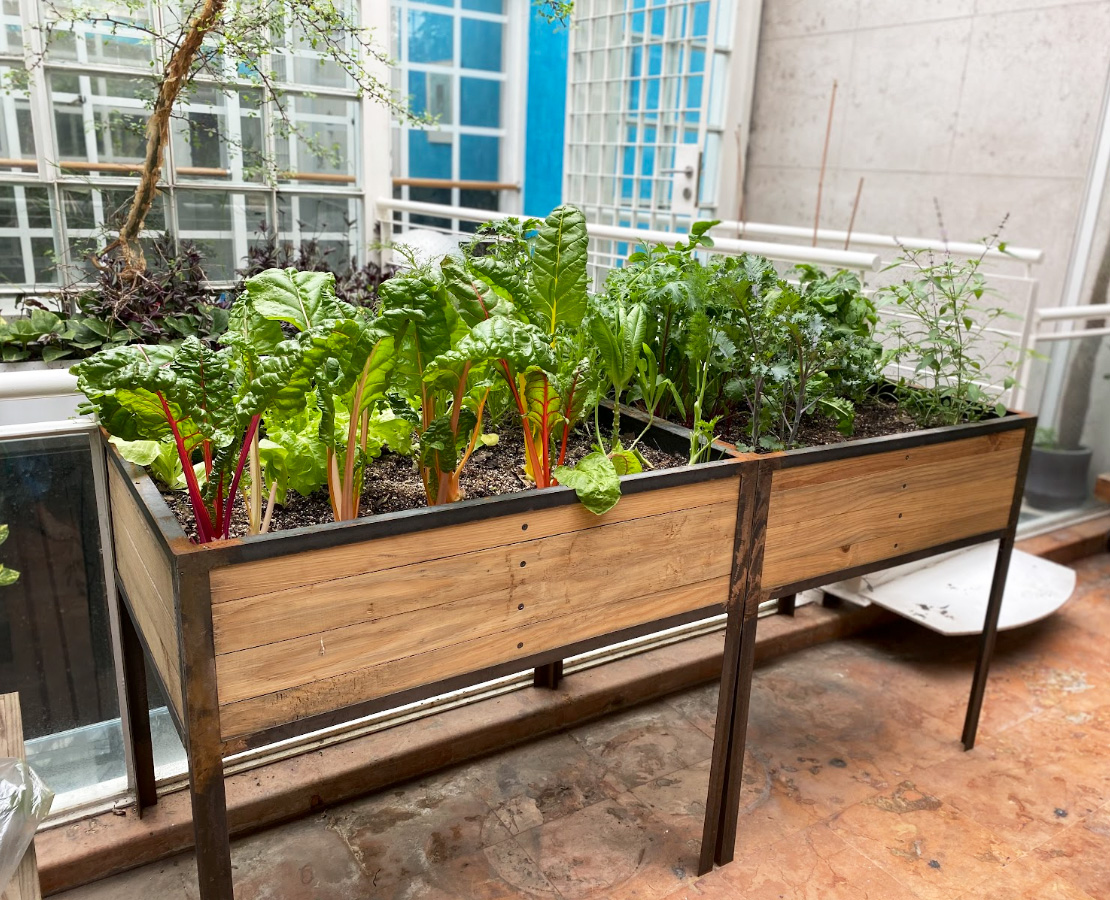 Cama De Cultivo Madera Elevada Sitopia