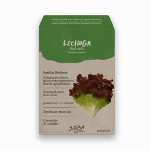 Lechuga Sangria / Red Sails