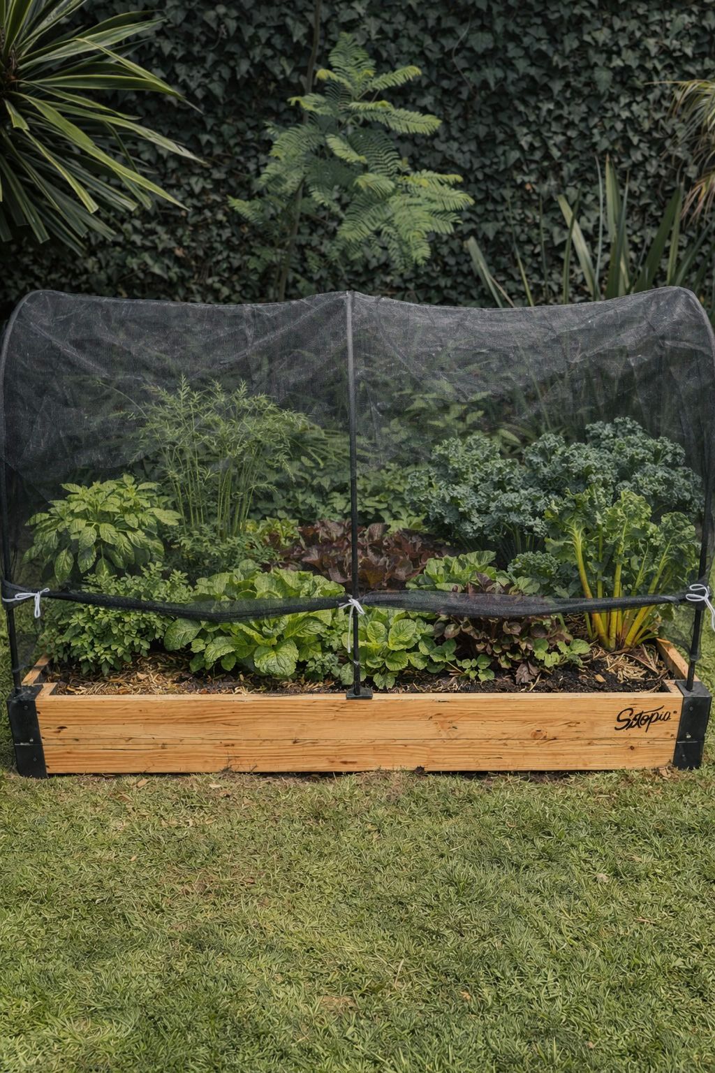 Cama de cultivo "Suelo Directo"