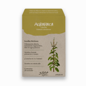 Albahaca Limón